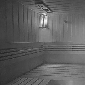 Sauna Lautsprecher